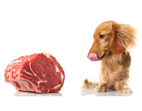 Сырое мясо для собак